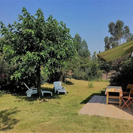 Maison Lumineuse Avec Jardin, 3 Ch., Proche Centre De Céret, Jusqu'à 6 Pers., Animaux Bienvenus - Fr-1-703-49