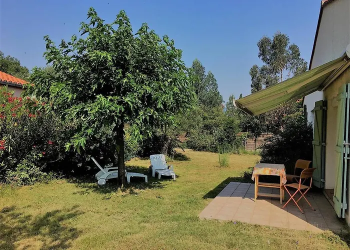 Maison Lumineuse Avec Jardin, 3 Ch., Proche Centre De Ceret, Jusqu'a 6 Pers., Animaux Bienvenus - Fr-1-703-49